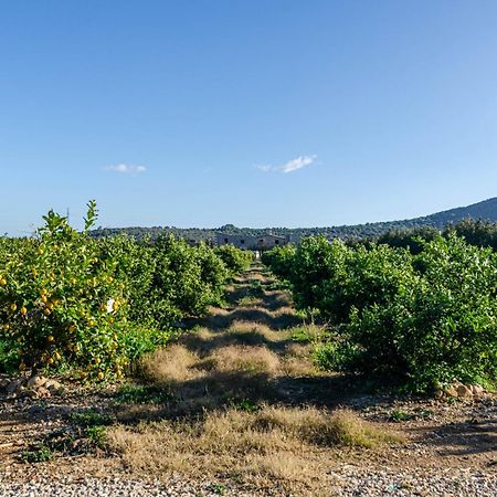 El Limonar De Mallorca - Agroturismo Ballerics Buitenkant foto